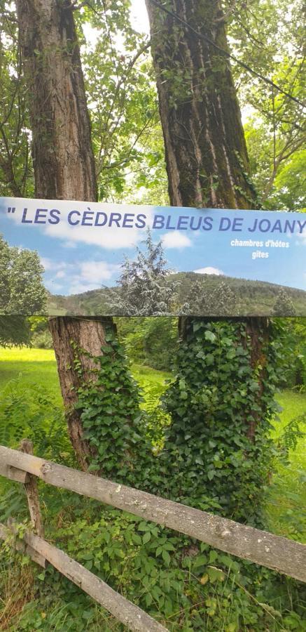 Готель Cedres Bleus De Joany Chez Nathalie Viviez Екстер'єр фото